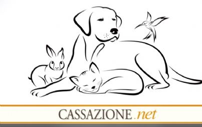 cover codice diritto animale