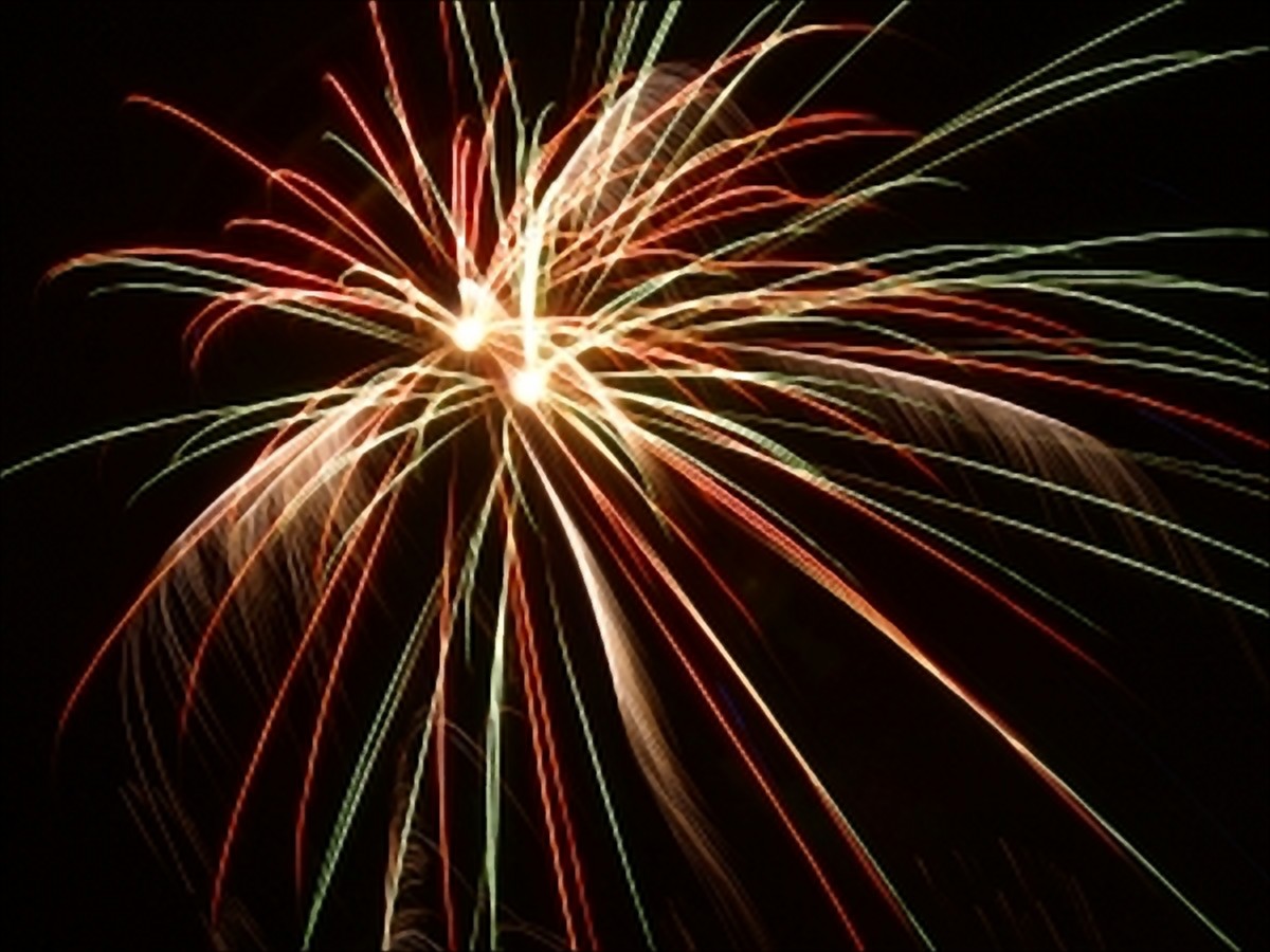 Fuochi d'artificio vietati - Un bene per umani e animali, domestici e  selvatici - Buon Capodanno senza botti!
